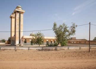 Sénégal: A la découverte de Morfil, l’Ile aux ivoires