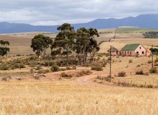 Transition énergétique africaine : quatre applications dans l’agriculture
