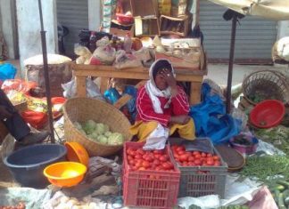 Sénégal-Produits alimentaires : Un accroissement des prix de production obtenu