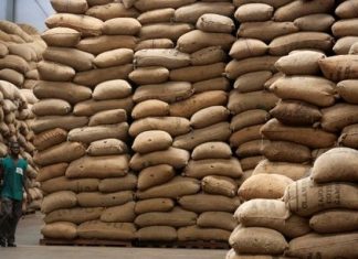Côte d’Ivoire : Qualité douteuse, prix élevés, la vente de la noix de cajou en crise