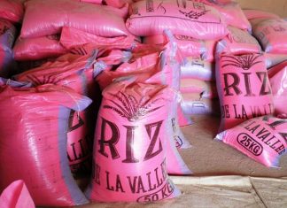 Sénégal-Riz : Recul du prix du kilogramme du « parfumé »