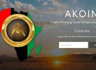 Le chanteur Akon lance l’Akoin, une crypto-monnaie à l’attention de l’Afrique