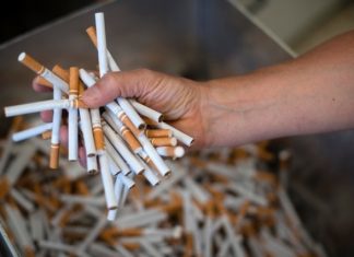 Sénégal/ Production de tabac : Raffermissement trimestriel de l’activité