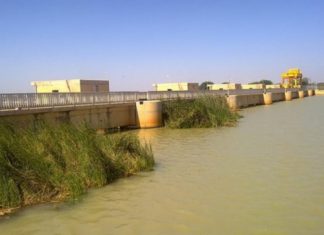 Sénégal/ Mises en valeur de la campagne agricole dans la vallée : Raffermissement des réalisations des saisons sèches chaude et froide
