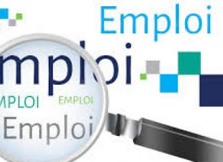 Emploi dans le secteur tertiaire : Leger accroissement de 0,8% noté