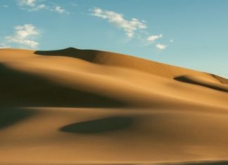 Comment transformer le désert en source d’énergie ?