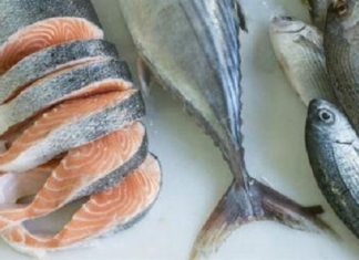 Pêche : La production et la consommation de poissons atteignent des niveaux records (FAO)