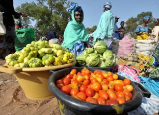 Sécurité sanitaire des aliments au Sénégal et au Burkina Faso : Lancement d’un projet d’amélioration des systèmes nationaux