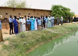 Aquaculture à Gaya, Richard Toll, Podor : Le gouvernement compte porter à 50.000 tonnes la production aquacole du Sénégal en 2023