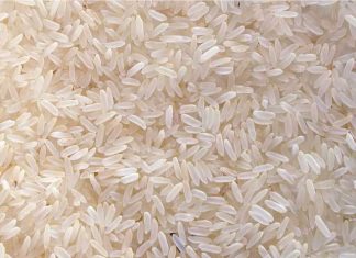 Conférence ministérielle de haut niveau sur le riz à Dakar : Les pays africains appelés à soutenir la croissance face à l’augmentation des factures d’importation de riz