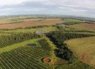 Investissements publics :L’organisme finlandais de financement du développement alloue 10 millions $ à un fonds d’impact pour la foresterie durable en Afrique
