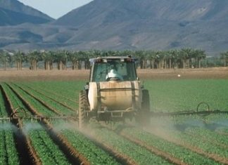 Côte d’Ivoire : la facture salée des pesticides frauduleux