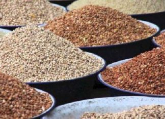 Uemoa : la production céréalière franchit le cap des 28 millions de tonnes pour la campagne 2017/2018, en hausse de 2,8%