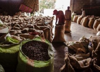 Café : le Forum mondial des producteurs demande à l’industrie de s’attaquer à la baisse des prix