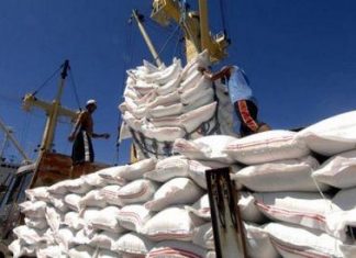 Riz : Le Vietnam veut envoyer 25% de ses exportations de riz vers l’Afrique