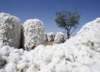 Au niveau mondial, l’aide gouvernementale au coton a atteint 5,9 milliards $ en 2017/2018