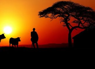 Bientôt un marché commun de l’énergie en Afrique ?