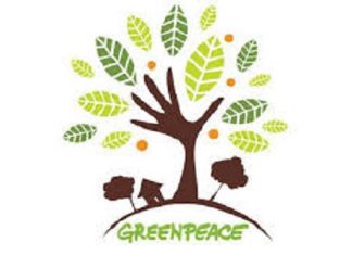 Greenpeace Afrique fête une décennie d’activisme environnemental