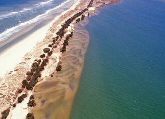 Environnement : L’AFD finance des projets de protection de la Langue de Barbarie au Sénégal