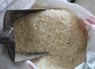 Riz : Les prévisions tablent sur une offre mondiale de riz à 633,7 millions de tonnes