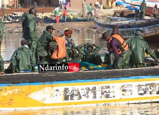 L’accord de pêche enfin finalisé : 400 licences aux Guet-Ndariens pour une capture de 50.000 tonnes de poissons