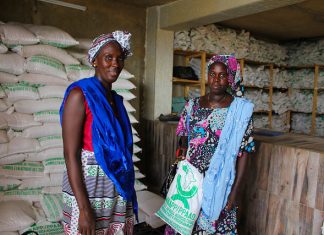 Enquête au Népal et au Sénégal : Que deviennent les femmes quand les hommes quittent les exploitations agricoles ?