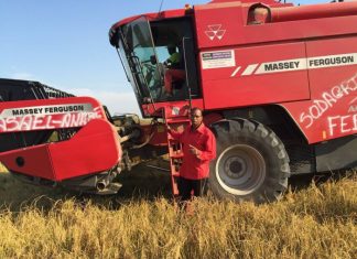 Sénégal : la SODAGRI anticipe une production de 270 000 tonnes de riz dans l’Anambé en 2018/2019