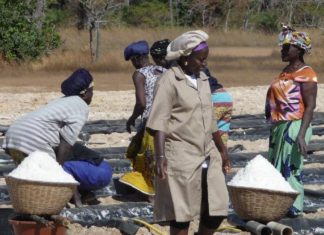 Casamance: L’accalmie source de developpement économique