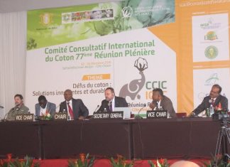 Secteur coton : Menace sur la production mondiale ?