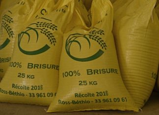 Sénégal: la Vallée du fleuve Sénégal veut produire 500 000 tonnes de riz en 2019