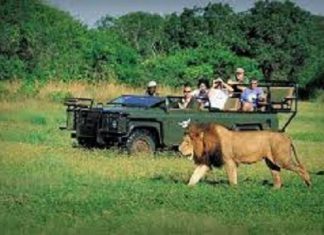 Tourisme:L’Afrique enregistre une hausse des arrivées de touristes en 2018