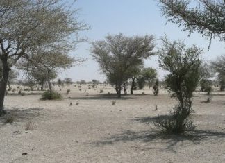 Sahel : les Etats de la sous-région adoptent un plan d’investissement climatique de 400 milliards de dollars