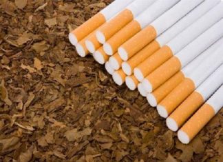 Tabac: Chaque année, le tabac de contrefaçon fait perdre 10 milliards $ à l’Afrique subsaharienne