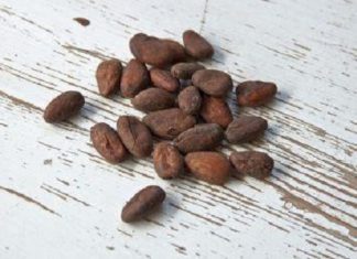 Cacao : un surplus de 39 000 tonnes est prévu en 2018/2019 (Icco)