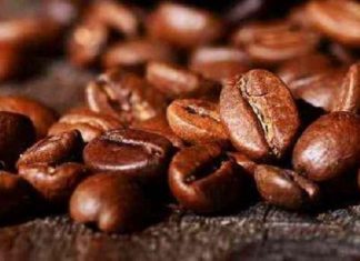 Le café arabica sombre à son plus bas niveau depuis 13 ans à New York