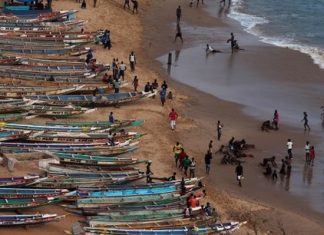 Pêche : la Mauritanie et la Gambie signent un protocole d’accord