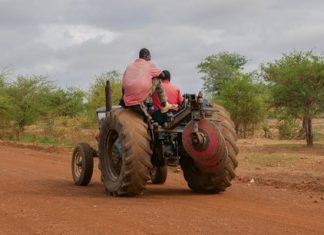 Transition énergétique : quelles solutions pour l’agriculture africaine ?