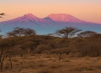 Tanzanie : bonnes perspectives pour le secteur touristique