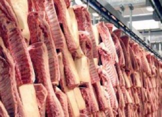 Afrique du Sud : l’industrie bovine retrouve l’accès à 10 marchés d’exportation