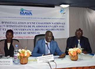 Pêche des petits pélagiques : Le déficit de transparence dans la gestion décrié