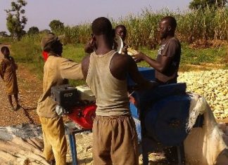 Financement : la BAD débloque 50 millions de dollars à Fidelity Bank pour les PME nigérianes
