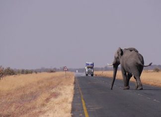 Botswana : De nouvelles exportations d’énergie
