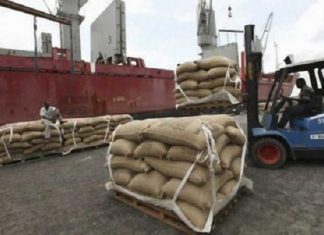 Côte d’Ivoire : les entreprises transnationales ont repris les contrats d’exportation de cacao à risque en 2018/2019