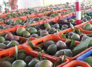 Exportations de biens : Le montant évalué à 171,1 milliards au mois de février 2019