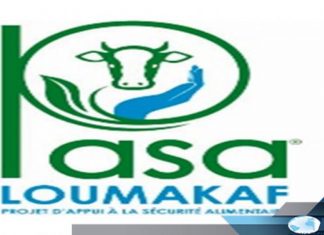 Sécurité Alimentaire : La BAD accompagne les régions de Louga, Kaffrine et Matam à hauteur de 25 milliard de F CFA