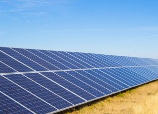 Energies : coup d’accélérateur au parc éolien de Taïba Ndiaye, l’un des projets phares du plan Sénégal vert