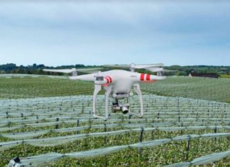 La Tunisie prévoit d’utiliser des drones pour sécuriser les récoltes céréalières