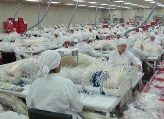 Industries manufacturières : Une constance des prix de production en février 2019