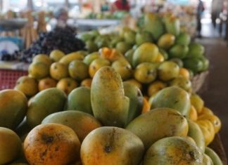 La Côte d’Ivoire mobilise 9,4 milliards Fcfa pour ses filières mangue et ananas
