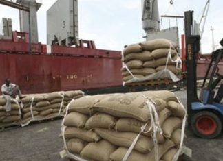Cacao : le Ghana et la Côte d’Ivoire donnent leur feu vert à la vente des récoltes de la prochaine saison
